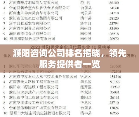 濮阳咨询公司排名揭晓，领先服务提供者一览