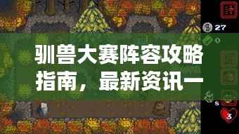 驯兽大赛阵容攻略指南，最新资讯一网打尽