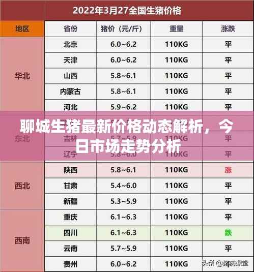 聊城生猪最新价格动态解析，今日市场走势分析
