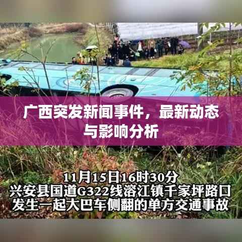 广西突发新闻事件，最新动态与影响分析