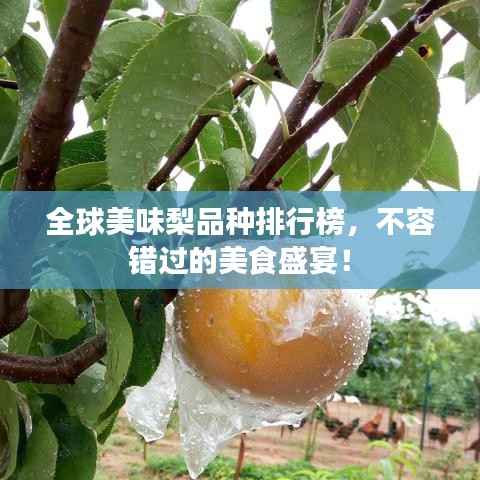 全球美味梨品种排行榜，不容错过的美食盛宴！