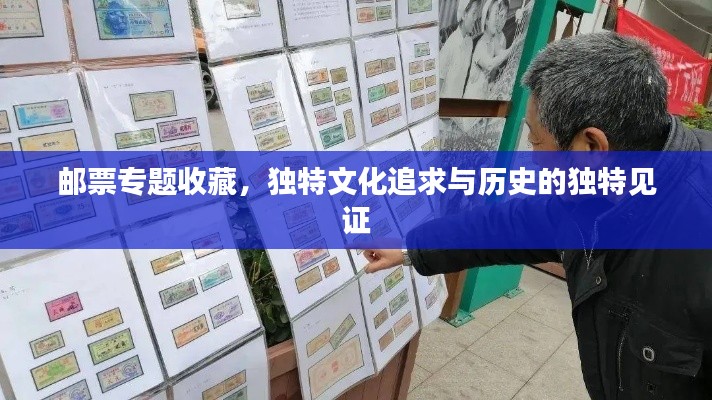 邮票专题收藏，独特文化追求与历史的独特见证
