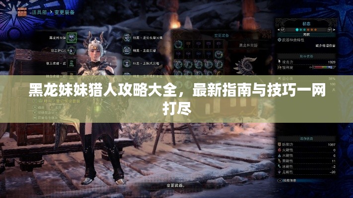 黑龙妹妹猎人攻略大全,最新指南与技巧一网打尽