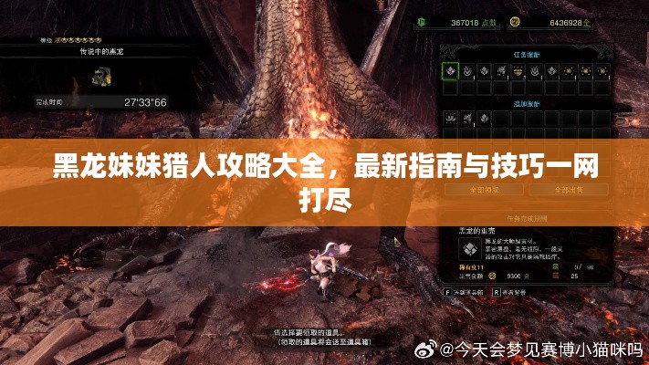 黑龙妹妹猎人攻略大全,最新指南与技巧一网打尽