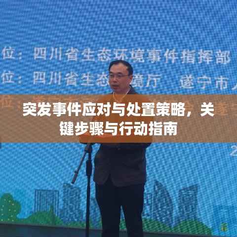 突发事件应对与处置策略，关键步骤与行动指南
