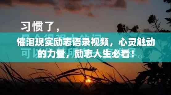 催泪现实励志语录视频，心灵触动的力量，励志人生必看！