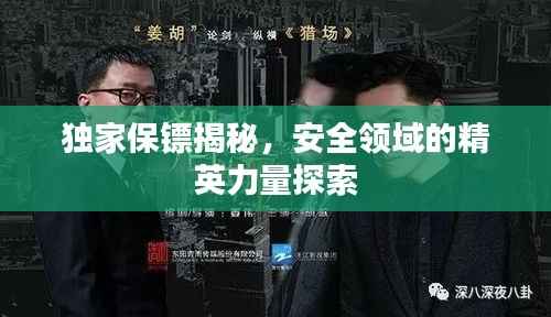 独家保镖揭秘，安全领域的精英力量探索