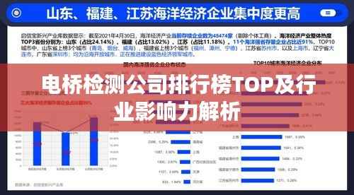 电桥检测公司排行榜TOP及行业影响力解析