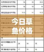 今日草鱼价格行情解析，最新市场动态一网打尽！