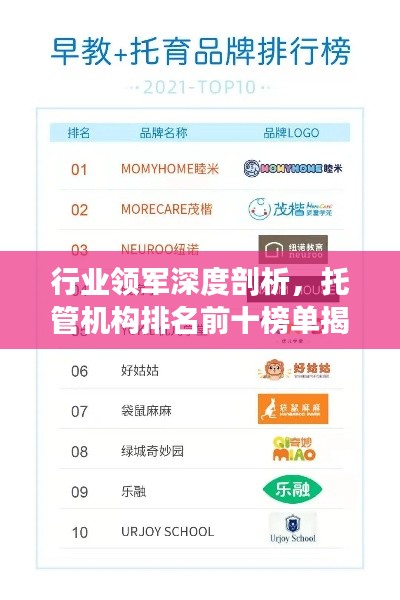 行业领军深度剖析，托管机构排名前十榜单揭晓！