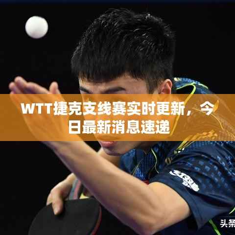 WTT捷克支线赛实时更新，今日最新消息速递
