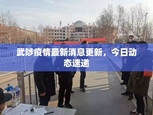 武陟疫情最新消息更新，今日动态速递