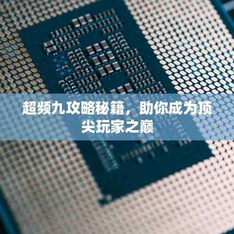 超频九攻略秘籍，助你成为顶尖玩家之巅