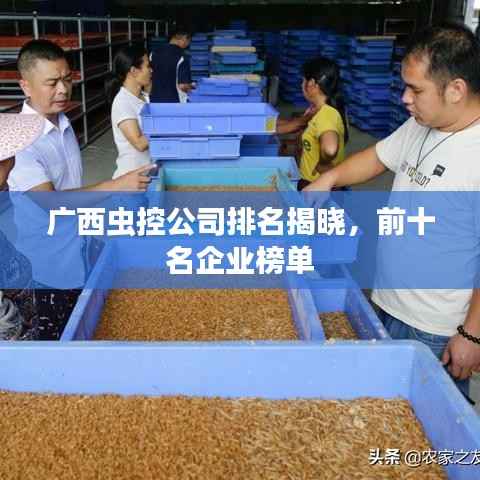 广西虫控公司排名揭晓,前十名企业榜单