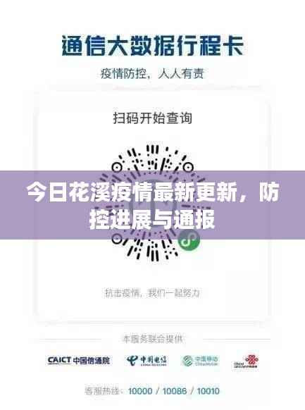 今日花溪疫情最新更新，防控进展与通报
