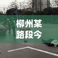 鸟革翬飞 第4页