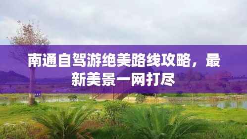 南通自驾游绝美路线攻略,最新美景一网打尽