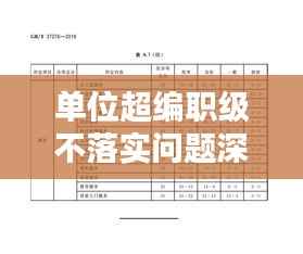 单位超编职级不落实问题深度解析与探讨