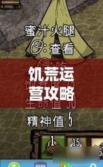 饥荒运营攻略大全，助你轻松生存（最新更新）