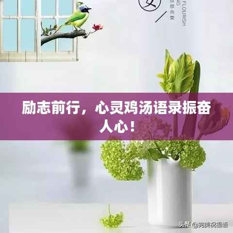 励志前行，心灵鸡汤语录振奋人心！