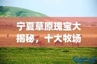 宁夏草原瑰宝大揭秘，十大牧场排名榜单！