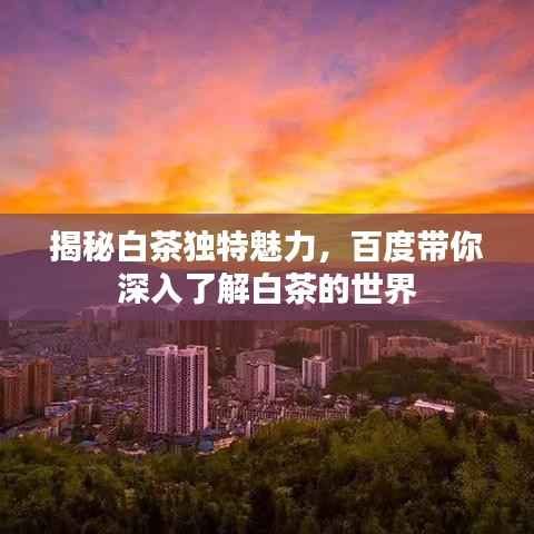 揭秘白茶独特魅力，百度带你深入了解白茶的世界
