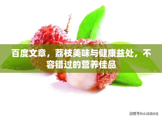 百度文章,荔枝美味与健康益处,不容错过的营养佳品