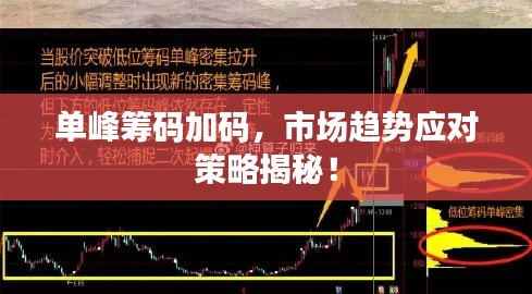 单峰筹码加码，市场趋势应对策略揭秘！