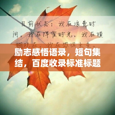 励志感悟语录，短句集结，百度收录标准标题