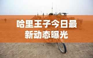 哈里王子今日最新动态曝光