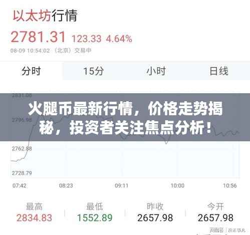 火腿币最新行情，价格走势揭秘，投资者关注焦点分析！