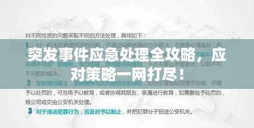 突发事件应急处理全攻略，应对策略一网打尽！