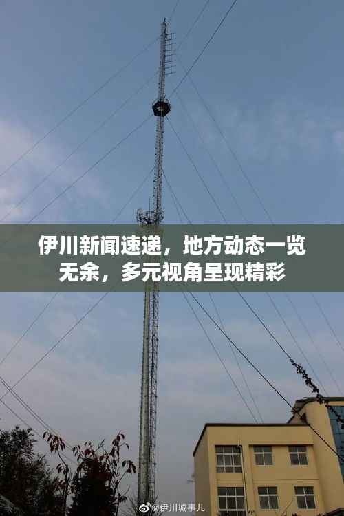 伊川新闻速递，地方动态一览无余，多元视角呈现精彩