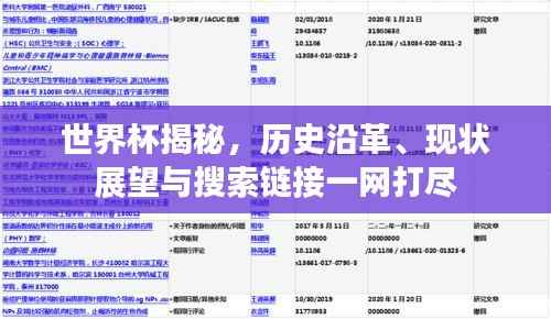 世界杯揭秘,历史沿革、现状展望与搜索链接一网打尽