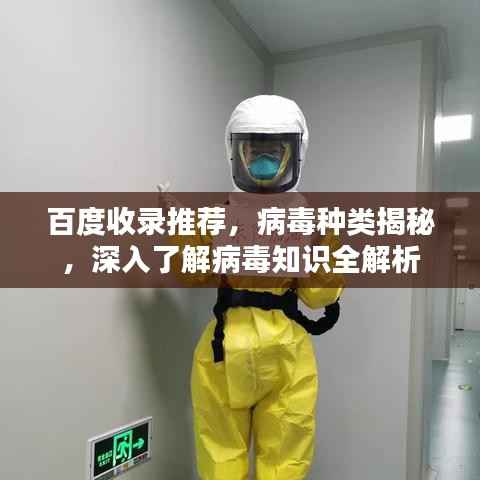 百度收录推荐，病毒种类揭秘，深入了解病毒知识全解析