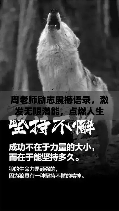 周老师励志震撼语录，激发无限潜能，点燃人生激情！