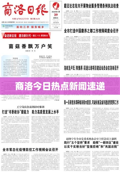 商洛今日热点新闻速递