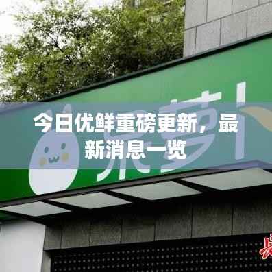 今日优鲜重磅更新，最新消息一览