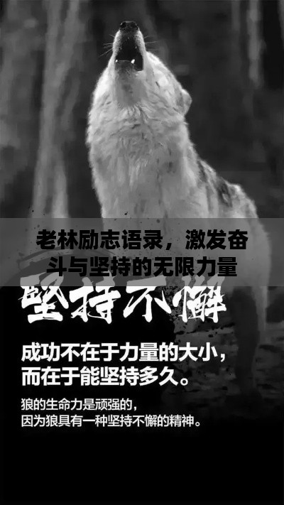 老林励志语录，激发奋斗与坚持的无限力量