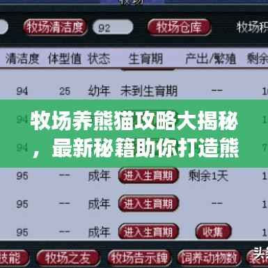 牧场养熊猫攻略大揭秘，最新秘籍助你打造熊猫乐园！