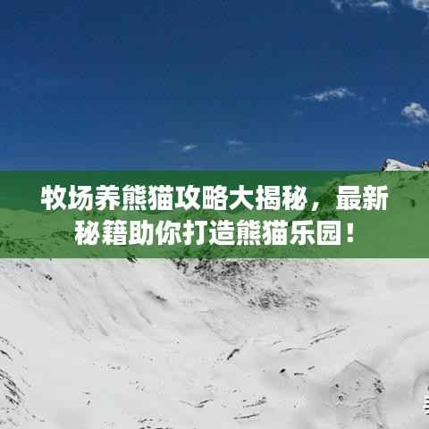 牧场养熊猫攻略大揭秘,最新秘籍助你打造熊猫乐园!