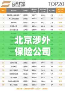 北京涉外保险公司排名大揭秘，权威榜单，不容错过！