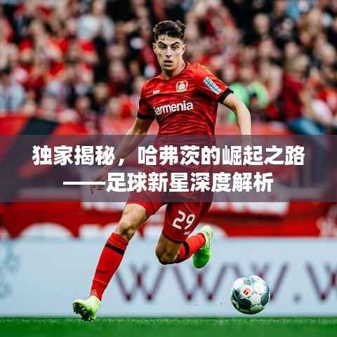 独家揭秘，哈弗茨的崛起之路——足球新星深度解析