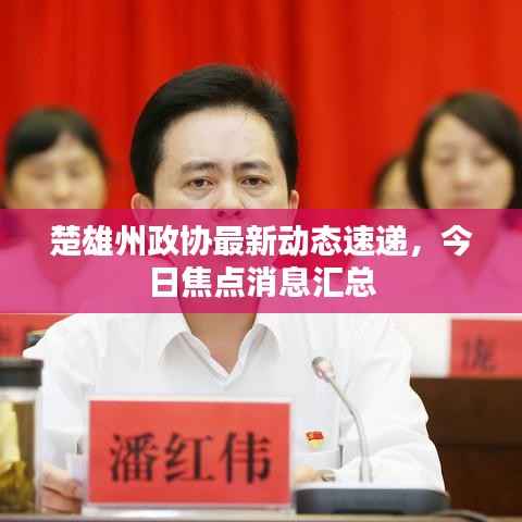 楚雄州政协最新动态速递，今日焦点消息汇总