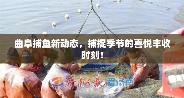 曲阜捕鱼新动态，捕捉季节的喜悦丰收时刻！