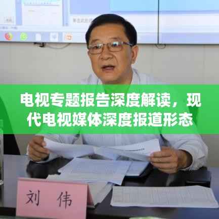 电视专题报告深度解读,现代电视媒体深度报道形态探究