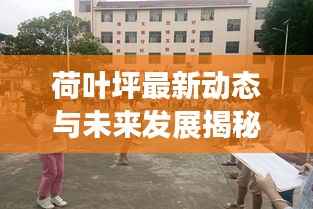 荷叶坪最新动态与未来发展揭秘，新闻头条速递