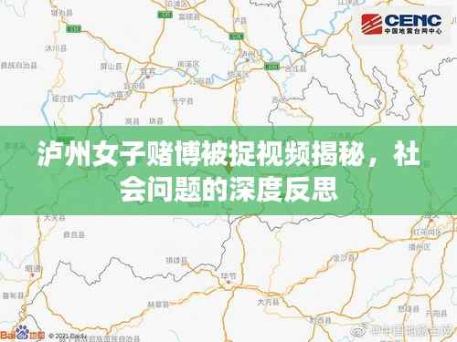 泸州女子赌博被捉视频揭秘，社会问题的深度反思