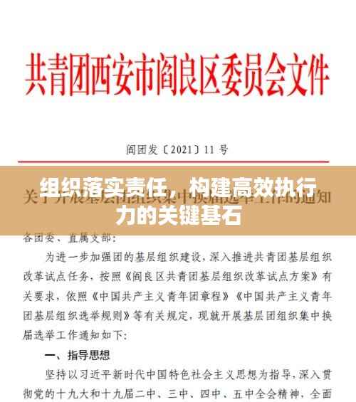 组织落实责任，构建高效执行力的关键基石