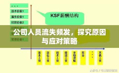 公司人员流失频发，探究原因与应对策略